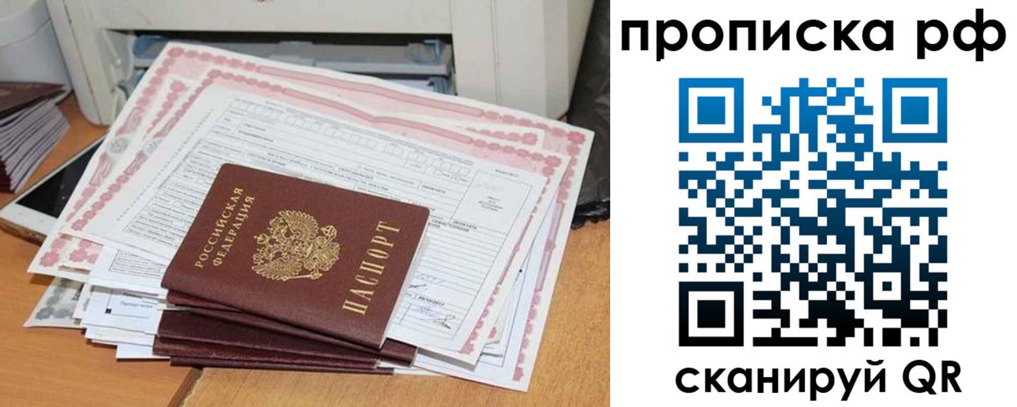 прописка гарантия в Северске